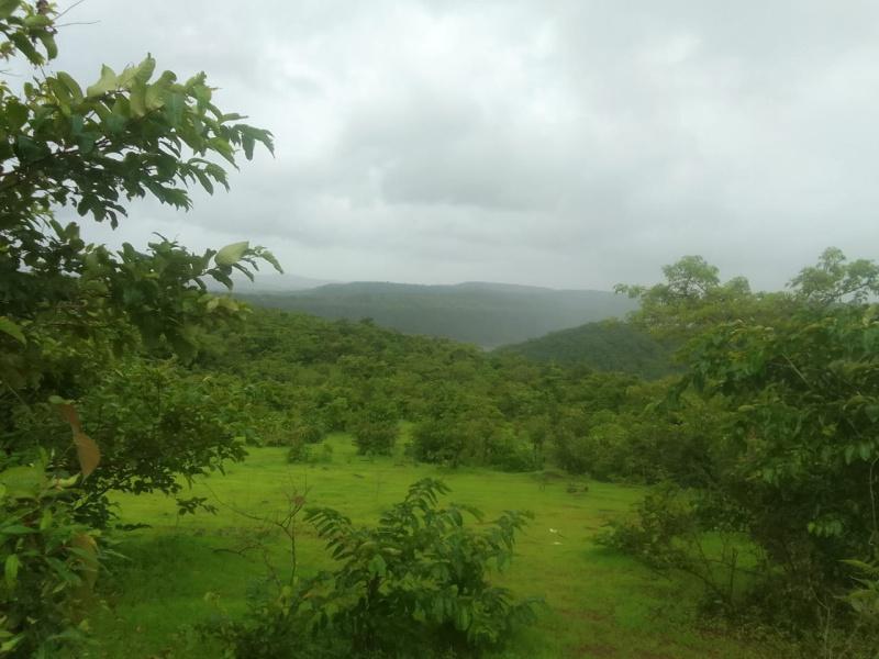 Ananta Oxygen Farms