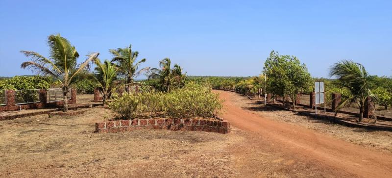 Avira Shantim Plots for sale Avira Shantim, Maneri, Sindhudurg, Maharashtra , Sindhudurg