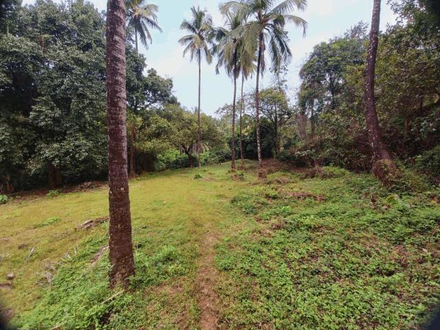 HNS Valley Plots for sale Malewad, Sawantwadi, Sindhudurg, Maharashtra – 416510 , Sindhudurg