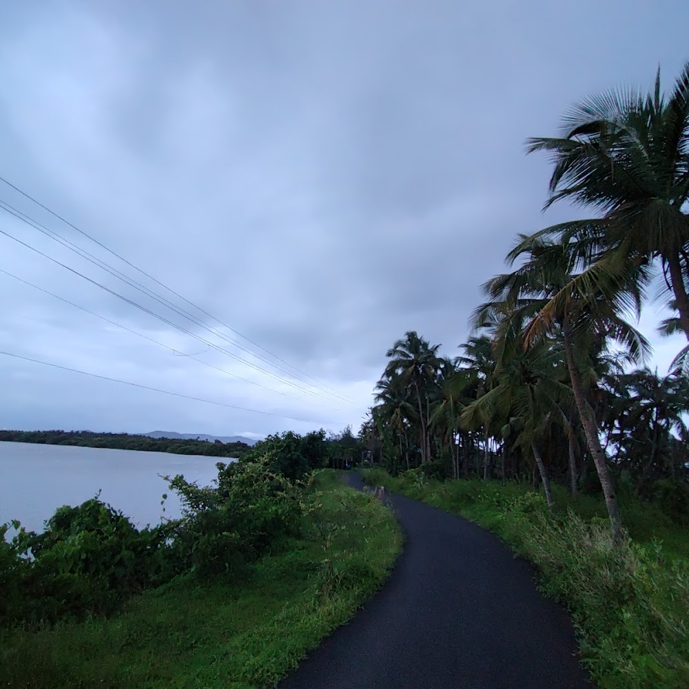 Lake Front Plots for sale Cutbana Rodrigues, Ambelim, Salcete, South Goa , Salcete