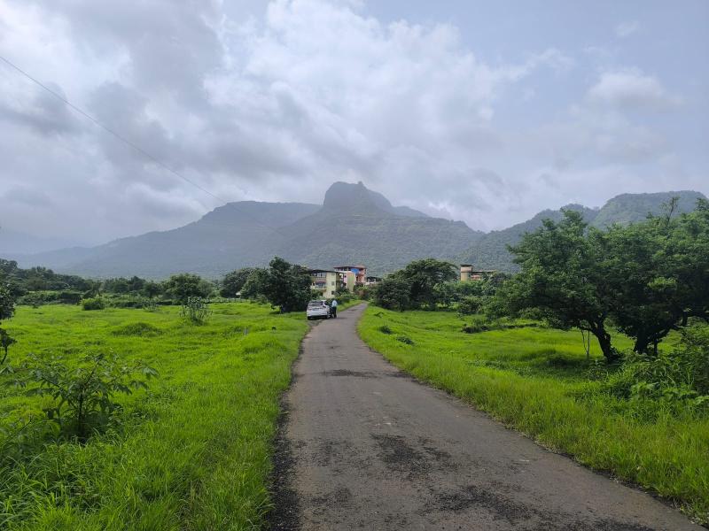 Mahagaon Hills