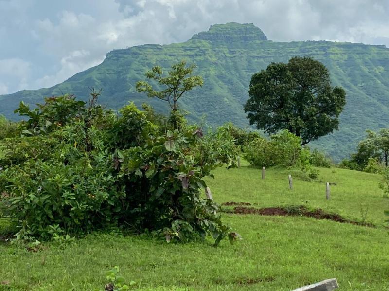 Marathon Hills Plots for sale Rajgad–Velhe, Pune, Maharashtra – 412212 , Raigad