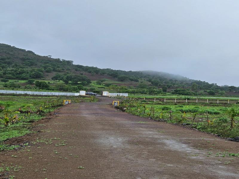 Nature Syde Plots for sale Mulberry Hills, Raigad Nagar, Nashik, Maharashtra , Nashik
