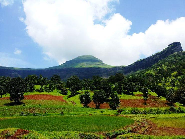 Panorama Hills