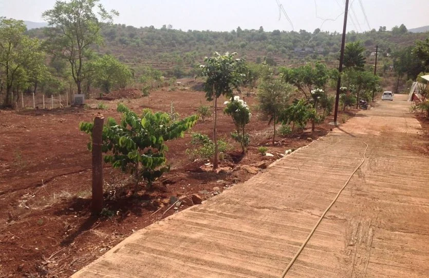 Phuloraa Panshet