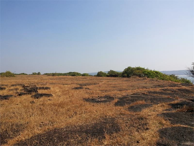 Samindar Plots for sale Sindhudurg, Maharashtra – Sea/Fort View location , Sindhudurg