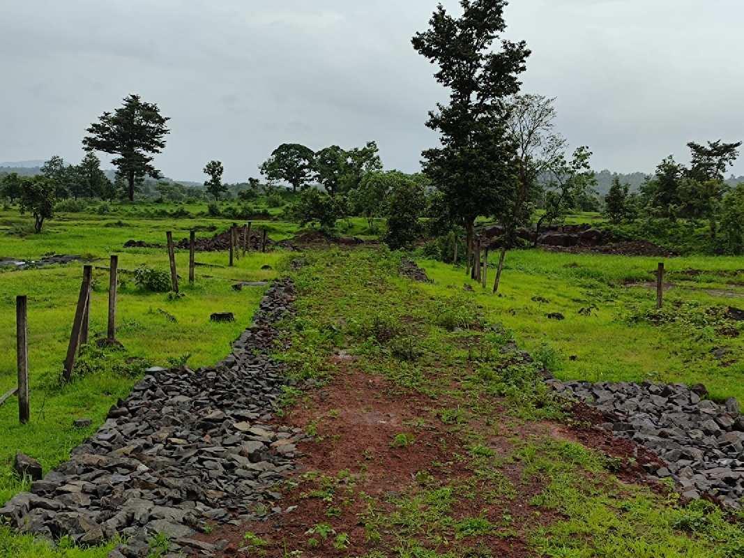 Saras Baug Agro