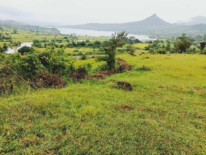 SK Nature Next Plots for sale Shilatne, Lonavala, Maharashtra , Lonavala