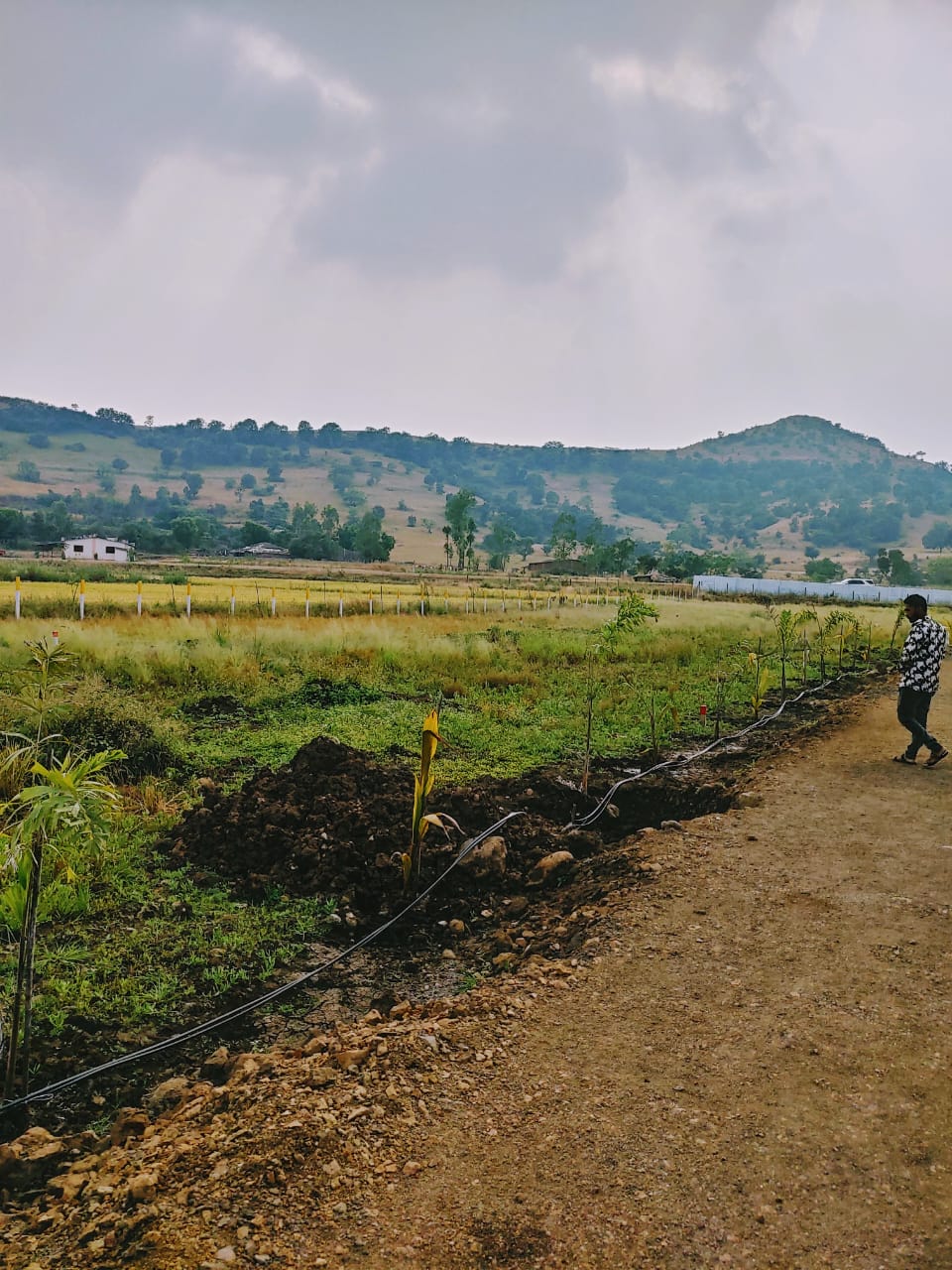 SSI – Dew Drops Plots for sale Trimbak, Nashik, Maharashtra – 422212 , Nashik
