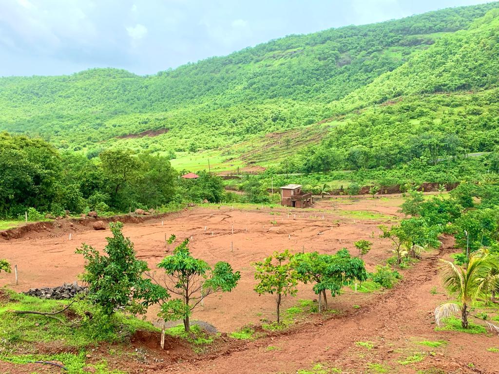 Sthaavar Ozone Acres Plots for sale Sthaavar Ozone Acres, Harihareshwar, Raigad, Maharashtra – 402110 , Konkan