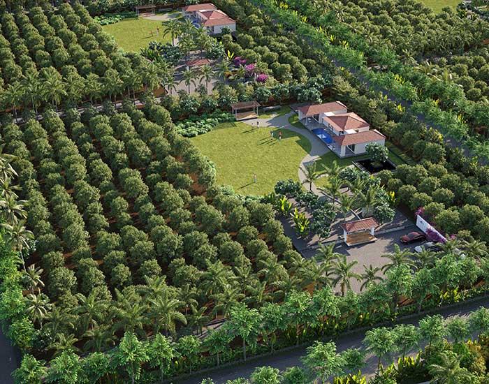 Tathastu Mango Valley